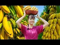 Download Lagu 365 Days Harvesting Giant Bananas Goes to Countryside Market Sell – Farm Life | Phuong Harvest Life