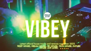 Vibey Deep House Mix Kick Back 
