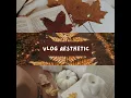 Vlog Aesthetic