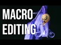 How I edit macro photos like a PRO Lightroom focus stacking tutorial