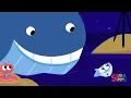 Twinkle Twinkle Little Star | Bedtime Song for Kids | Finny The Shark