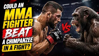 Could an MMA Fighter Beat a Chimpanzee? The Brutal Truth
