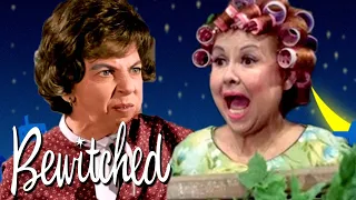 Chronicles of a Nosey Neighbor Mrs Kravitz Funniest Moments Bewitched