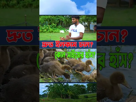 আজ-কালকের মধ্যেই ইনকাম চান? 🦆💰 কোন সাইজের হাঁস পালন করবেন—জেনে নিন! #shorstviral