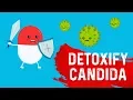 The Most Powerful Candida Infection Yeast Infection Killer - Dr Berg