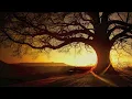 James Vincent McMorrow - We Don't Eat (Adventure Club Remix)