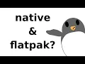 Difference between native and flatpak apps