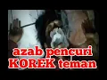 Download Lagu Azab pencuri korek teman