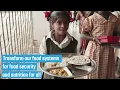 An Overview of the Committee on World Food Security CFS and its Work