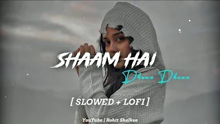 Shaam Hai Dhuan Dhuan Diljale Ajay Devgan Slowed LoFi Full Song 
