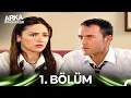 Arka Siradakiler 1 Bolum