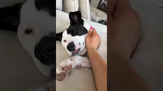 روتين تنظيف يومى 