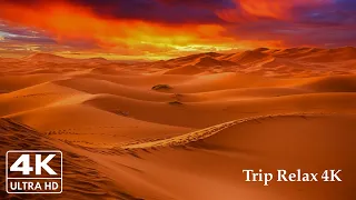 صوت رياح الصحراء لتخفيف التوتر والاسترخاء Desert Wind Sound 