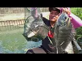 Mancing ikan Nila liar di Spot Baru bikin senar mau putus berkali kali