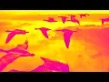 Download Lagu ELO - One Summer Dream (Synth Cover)