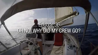 Winded Voyage 4 | Episode 36 | Oh No! Where Did My Crew Go?