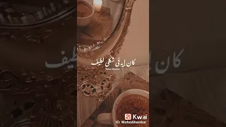 كان نفسي تسمعني 