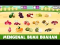 Download Lagu Belajar Mengenal Nama Buah Buahan Untuk Anak