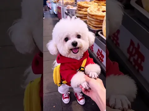 #bts