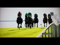 18 35 Punchestown IRE 26th Apr 2022
