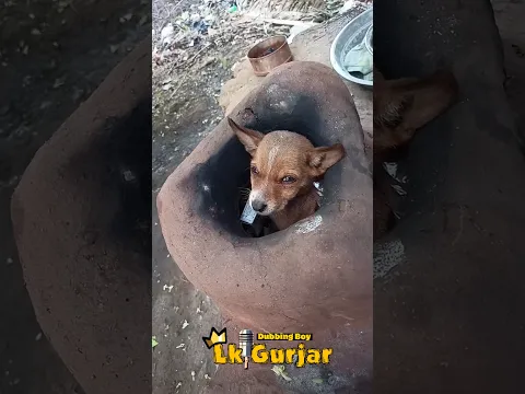 देख क्या रहा है 🤣🤣 #funny #comedy