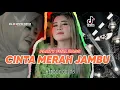 Download Lagu DJ CINTA MERAH JAMBU STYLE PARTY
