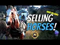 Life Of A Shai Imperial Horse Deliveries - Black Desert Online