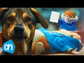 Download Lagu De Hamster Van De Albert Heijn Is dood