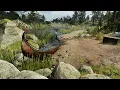 Baldur's Gate 3 | Relaxing River Ambience + Music
