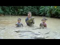 Download Lagu how to harvest giant fish pond to sell at market - grind corn for chickens to eat with baby