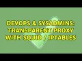 DevOps SysAdmins Transparent Proxy with Squid iptables 3 Solutions