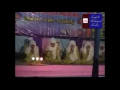 Download Lagu Zada Syauqi (زادشوقي) - Muhasabatul Qolbi feat. At Tanwir (Sholawat Al Banjari)