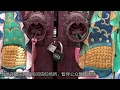 Download Lagu 广东雷州话防疫宣传，据说台湾人也能听懂八成？