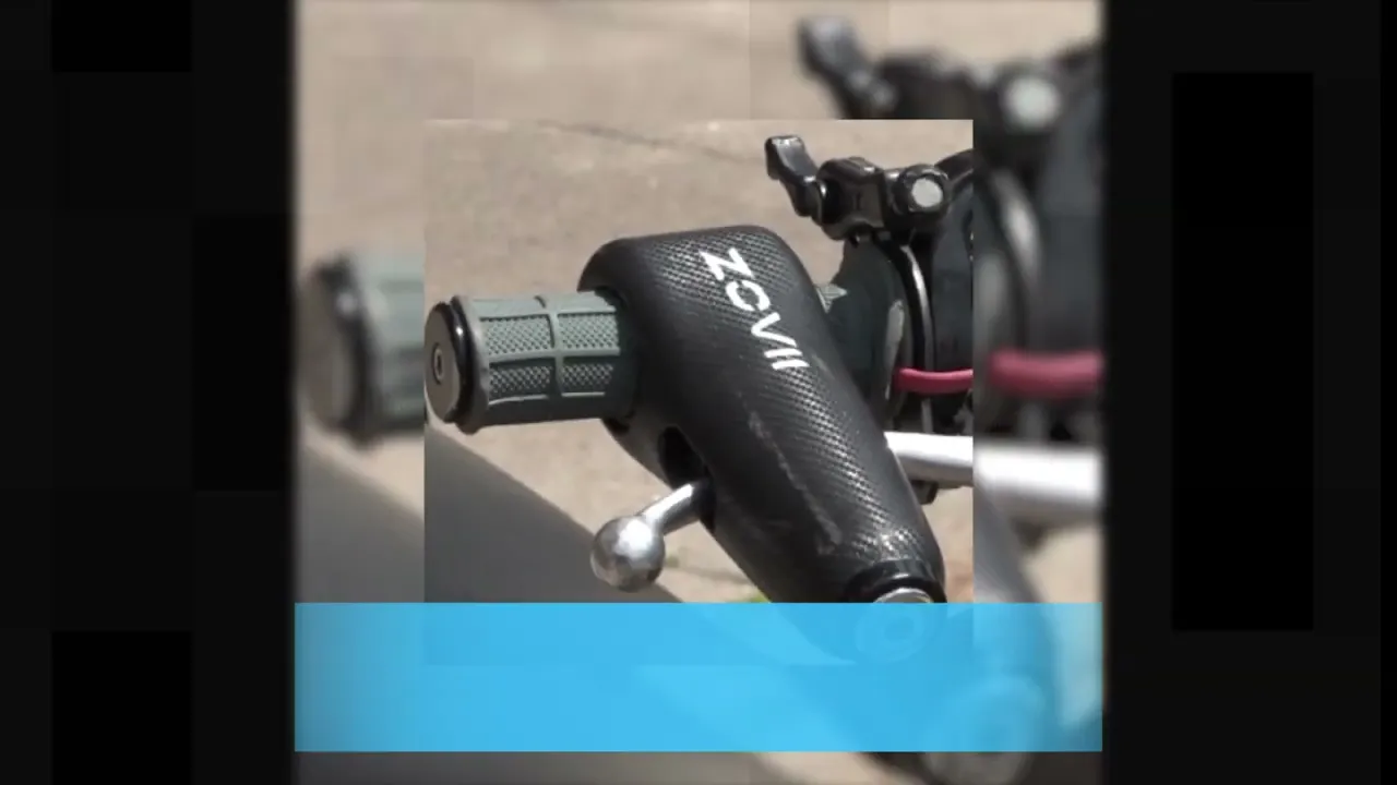 Zovii Alarmed Grip Lock
