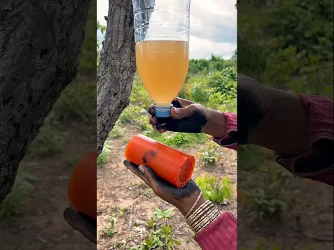 Survival Skills Mom Shows How to Make Soap and Water in forest #campping #outdoors #useful
