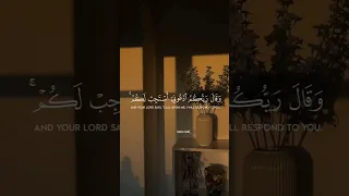 سورة غافر القارئ بلال دربالي 
