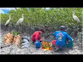 Download Lagu WITH A LOT OF SUFFOCATION WE MANAGED TO CATCH SOMETHING TO EAT @nasaventuras #adventure#youtube #...