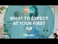 What to Expect at Your First IUI Procedure How to Start a Family Parents