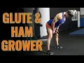 CABLE PULL THROUGH Exercise for Amazing GLUTES Hamstrings