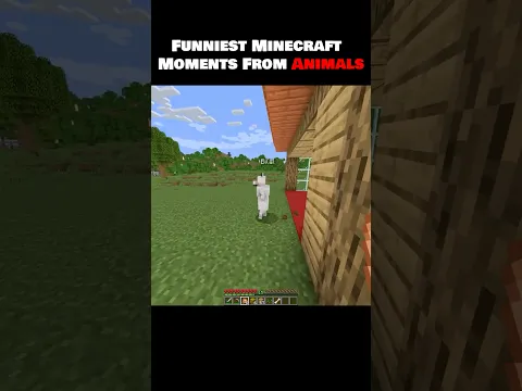 Funniest Minecraft Moments From Animals