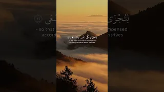 محمد ايوب سورة طه انني انا الله لا اله الا انا فاعبدني واقم الصلاة لذكري قران تلاوة خاشعة 