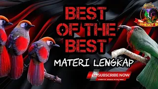 bes of the best masteran burung kecil materi lengkap