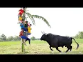 Download Lagu Must Watch New Funny Video 2022 Top New Comedy Video 2022 Try To Not Laugh Episode 169 By #Funny Day