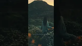        أنا شبه نسيتك دندنها