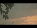 rainy | cosmonkey