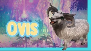 Ark How to spawn a Sheep Ovis w Console Commands Ark Survival Evolved