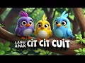 Lagu CIT CIT CUIT | TEK KOTEK | 5 BEBEK KECIL BERMAIN | SUARA BINATANG | MLD KIDS