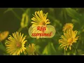 Download Lagu A múltban nagyon stabil, bensőséges szerelem volt köztetek, legalábbis most így látja   💔😯💐  #like