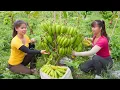 Download Lagu Harvesting Banana Garden and Go To Market Sell | Harvest With Phương