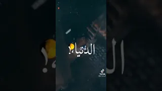 خدو كل حاجه منى بس ادولى فرحه توم وجيري 